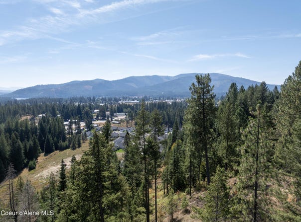 Two River lot: 2, Priest River, ID 83856