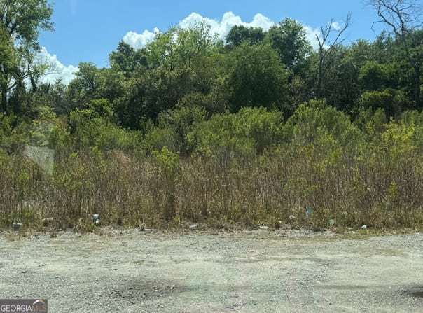 626 Roosevelt Avenue, Albany, GA 31701