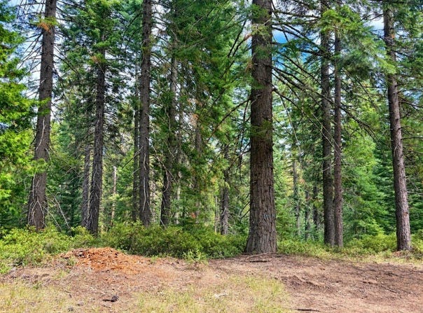 Un3 Blk F Lot19 White Fur Ct., McCloud, CA 96057