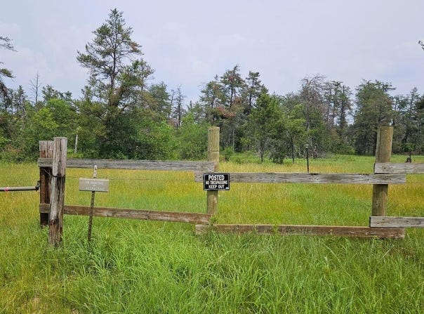 Witte Trail, Lovells, MI 49738