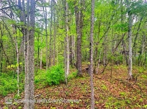 Iris Lane, Peterstown, WV 24963