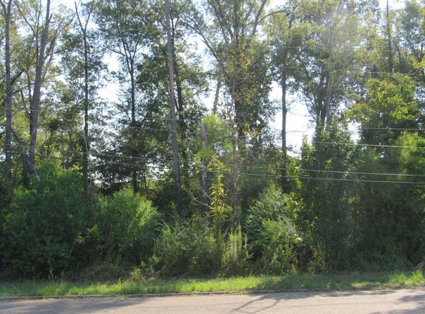 Brookmore Drive, Columbus, MS 39705