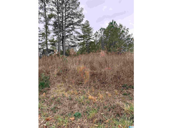 INDIAN HILLS ROAD lot: 0, HAYDEN, AL 35079