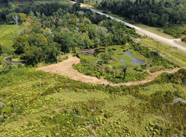 Highway 35, Walnut Grove, MS 39189