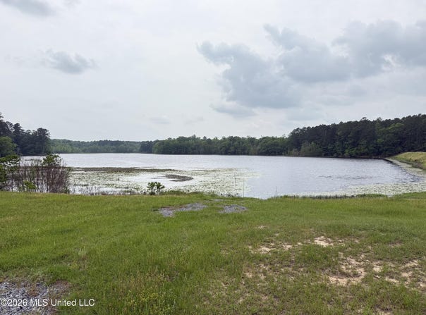Furrs Mill Dr NE, Wesson, MS 39191