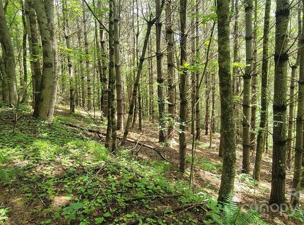 Eagle Bridge Road, Burnsville, NC 28714