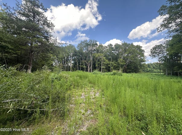 1306 Us 258, Como, NC 27818