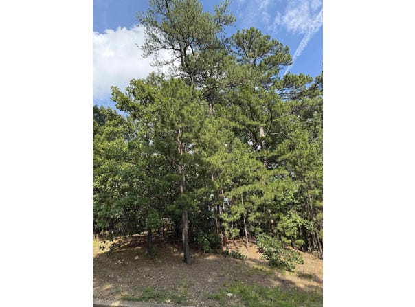 Lot 7 Beckenham Cv, Little Rock, AR 72212