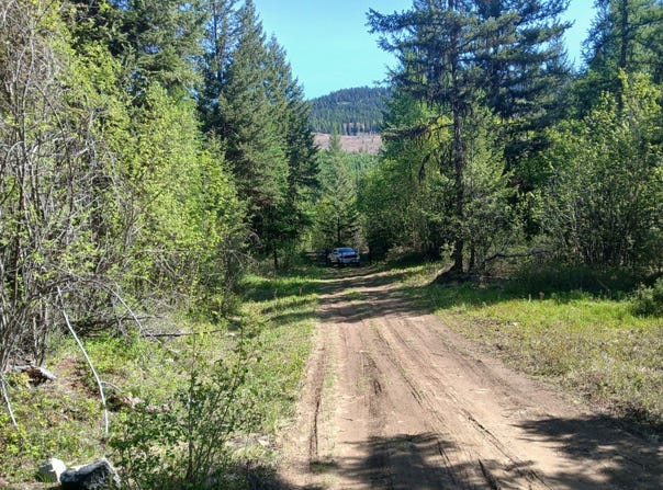 24X BARDWELL RD, CURLEW, WA 99118