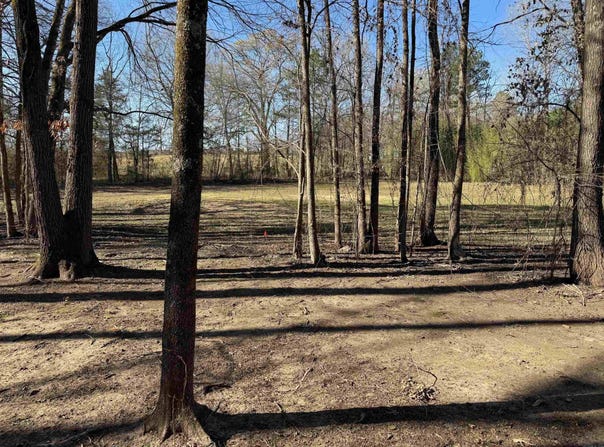 TBD Pioneer Lane, Hatfield, AR 71945