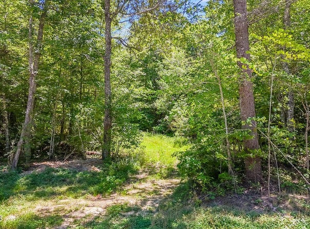 Twin Bridge Rd, Deer Lodge, TN 37726