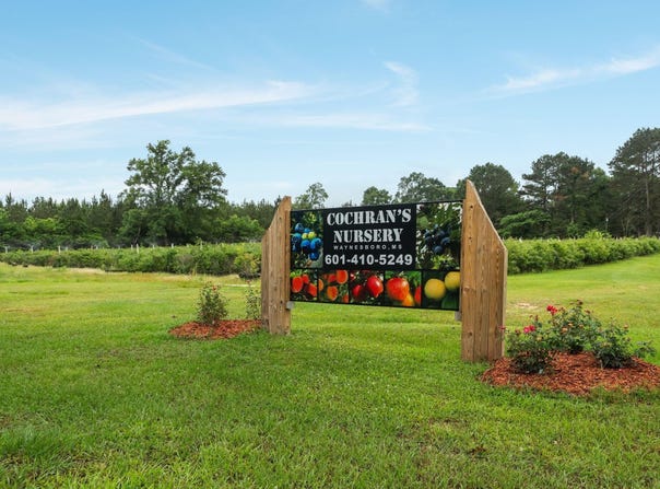 401 Buckatunna Chicora Clara Rd., Waynesboro, MS 39367