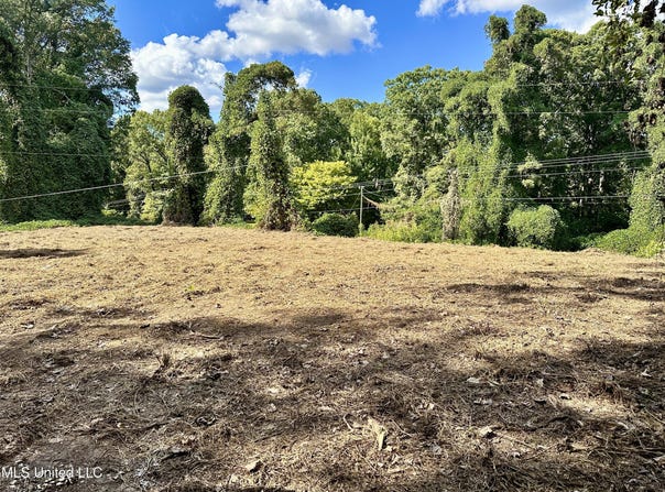 11050 Elm Drive, Hernando, MS 38632