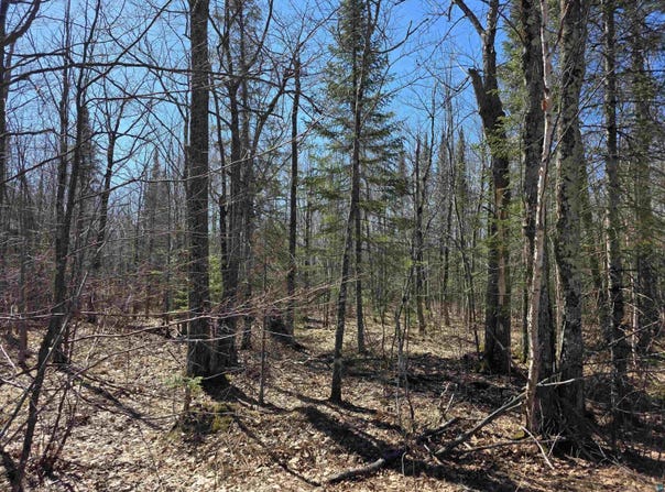 xxx Stark Rd, Cloquet, MN 55720