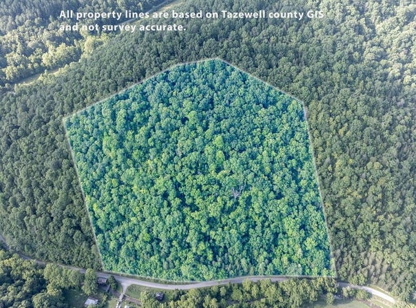 Tbd Dry Fork Road, Cedar Bluff, VA 24609