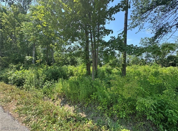 Denver Avenue, Lorain, OH 44055