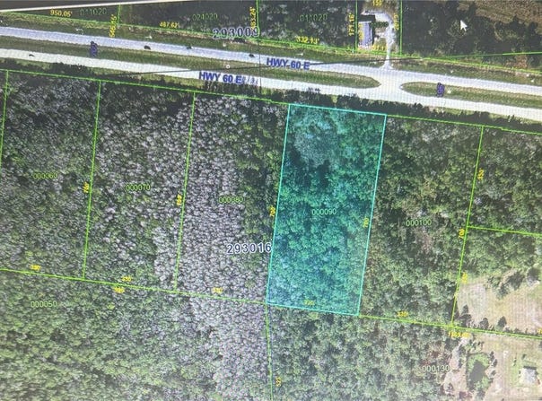 0 STATE ROAD 60 E ROAD N, LAKE WALES, FL 33898