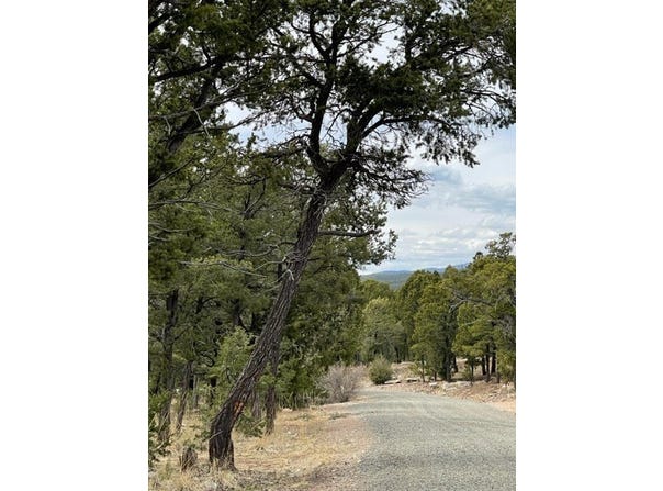 16 Wild Wings Circle, Pecos, NM 87552