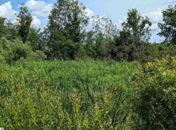 Crosby Road, Turner, MI 48765
