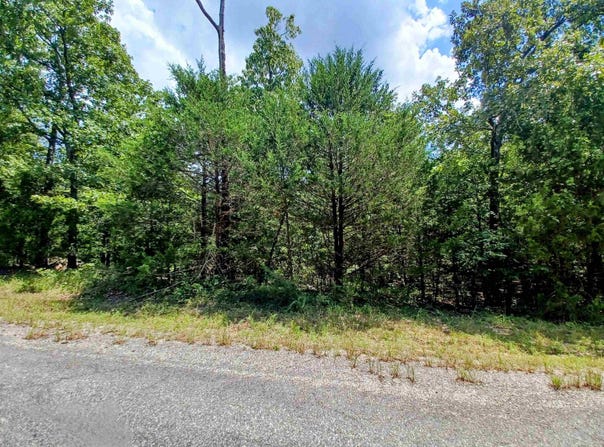 901 Primrose Lane, Horseshoe Bend, AR 72512