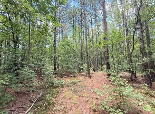 000 COUNTY ROAD 1815, JOPPA, AL 35087