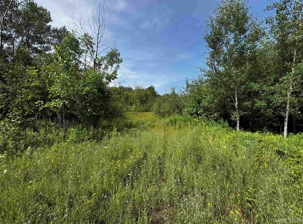 TBD Bear Town, Baraga, MI 49908
