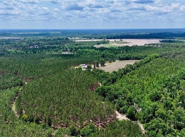 Neily Wagon Road, GA 31037