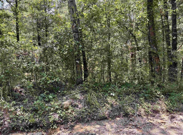 00 Bird Road, Solgohachia, AR 72156