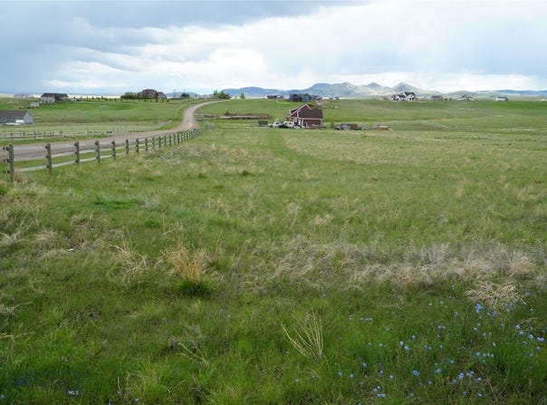 Wild Rose, Three Forks, MT 59752