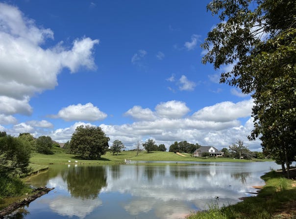 E Briar Lake Dr, Starkville, MS 39759