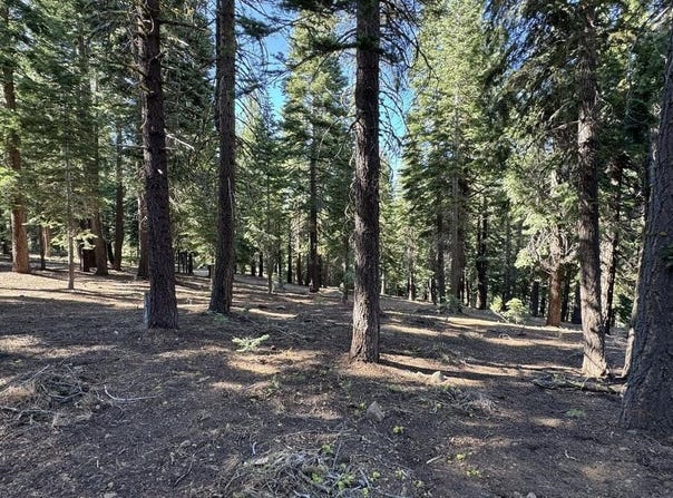 11710 Tundra Drive, Truckee, CA 96161