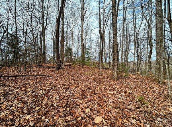 Rhododendron Drive lot: 12, Saluda, NC 28773