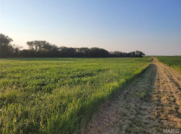 Hwy DD (46+/- Ac) Tract F, Bellflower, MO 63333
