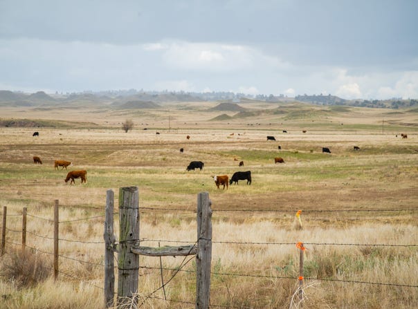 9870 Tollefson Trail, Fort Laramie, WY 82212
