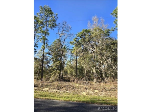 5215 E South Crossing Court, Inverness, FL 34452
