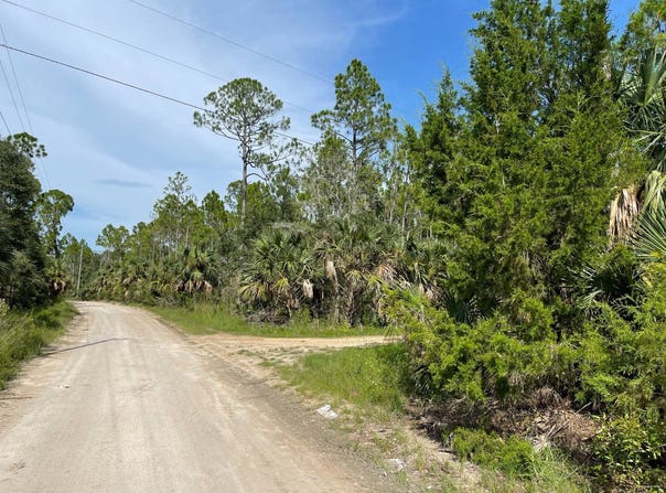TBD Yates Creek Road, Perry, FL 32348