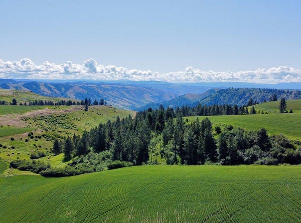 Tbd Basket Rd, Nezperce, ID 83543
