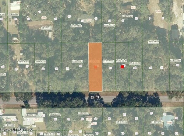 1024 ELM Street, Welaka, FL 32193