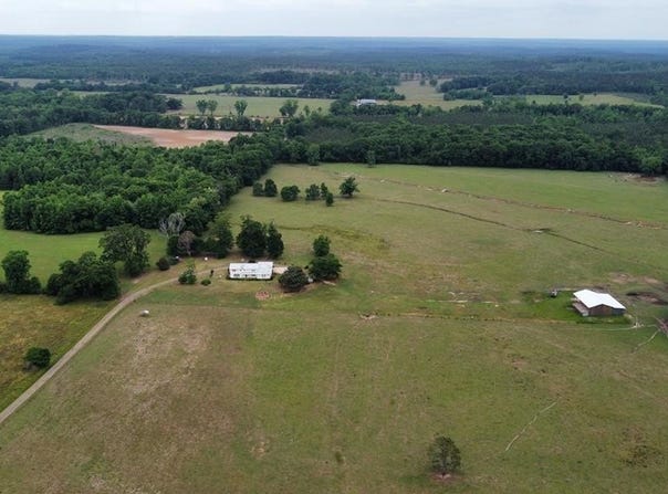1238 DAVIS RD, BRANTLEY, AL 36009
