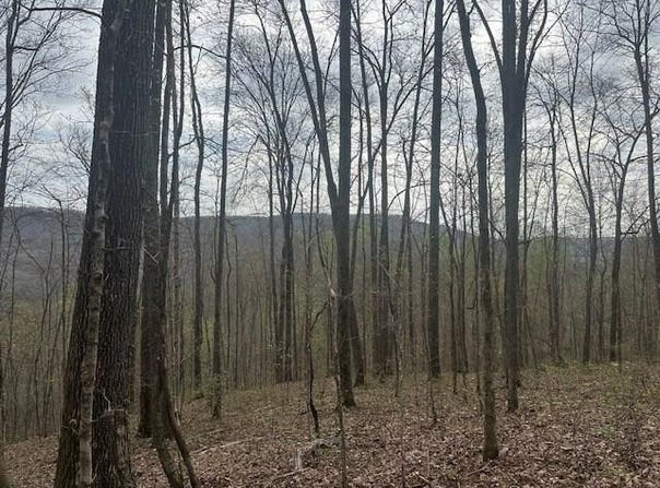 Buckeye Lane lot: 84, Wilder, TN 38589