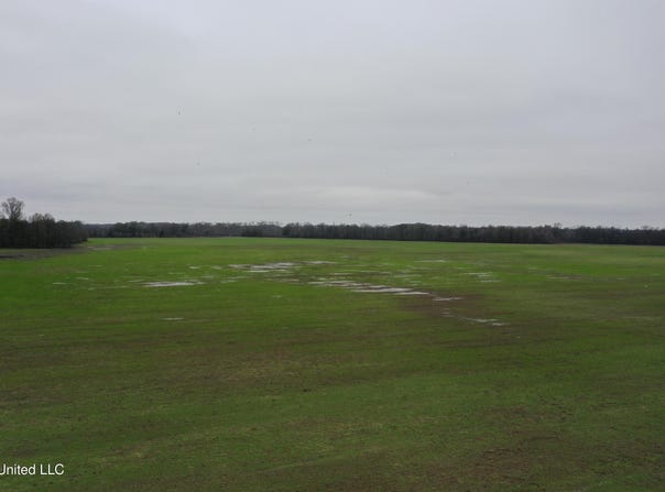 2000 Walnut Lake Road, Dundee, MS 38626