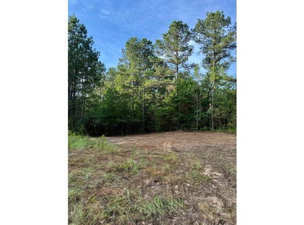 4850 Highway 395, Noxapater, MS 39346