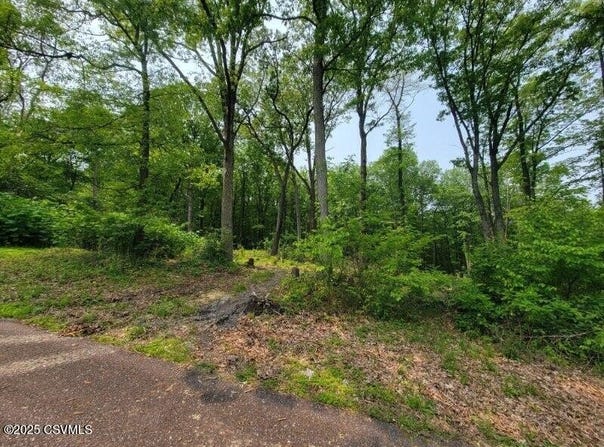 LOT 5 WOODLAND Drive, Mt. Carmel, PA 17851