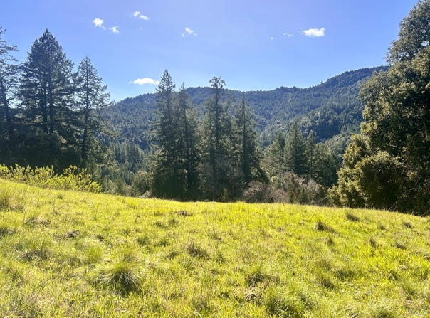 4100 Hansen Ranch Road, Piercy, CA 95587