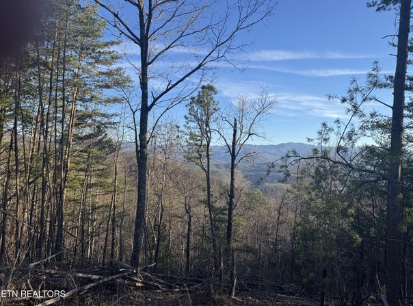 Rudd Hollow Rd, Townsend, TN 37882