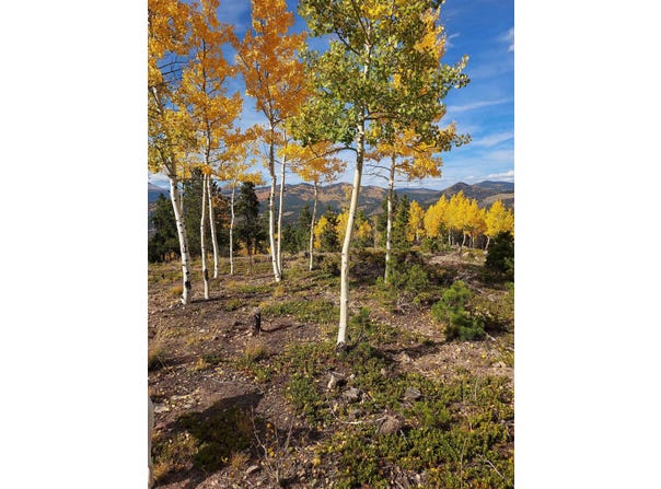 Tbd Miners Candle Road, Idaho Springs, CO 80452