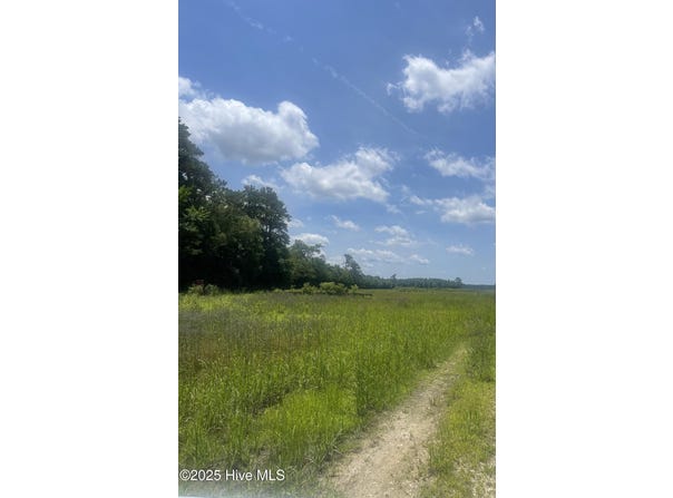 0 Highway 58 N, Trenton, NC 28585