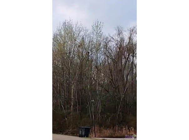 Lot 91 Rosario Dr, Baton Rouge, LA 70811
