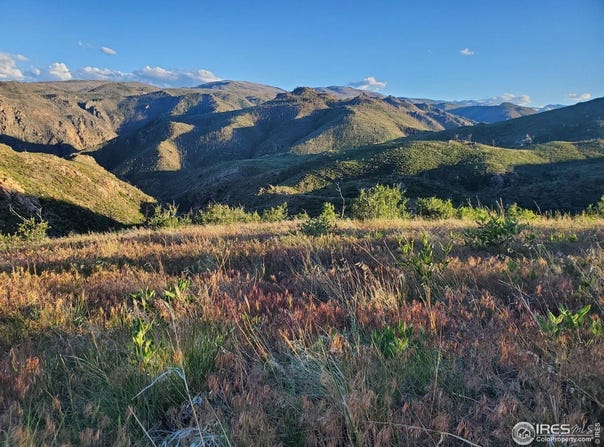 232 Red Mountain Ct, Livermore, CO 80536