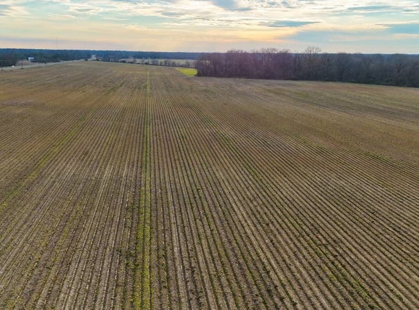 T.B.D. Highway 17, Winnsboro, LA 71295